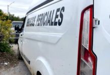 Reportan a persona muerta en la calle en colonia popular
