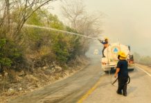 Atiende Protección Civil Estatal incendio forestal en Nuevo Morelos