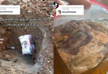 Joven ahorra para comprar celular, entierra el dinero y se le pudre