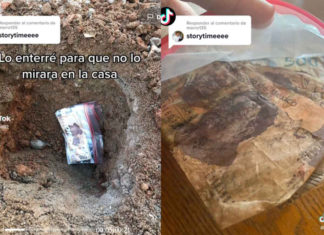 Joven ahorra para comprar celular, entierra el dinero y se le pudre
