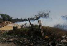 Trabajarán en crear iniciativa para sancionar a responsables por incendios