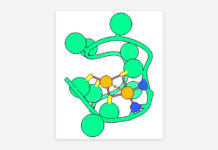 Esta proteína pudo ser precursora del origen de la vida en la Tierra