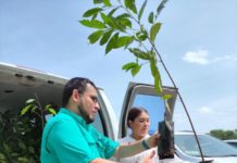 Realizan importante donación de árboles a universidades de Reynosa