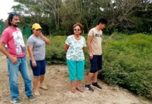 Cocodrilos atemorizan a familias de la colonia Miramapolis