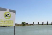Instan a inmigrantes no arriesgarse a cruzar a EE.UU.
