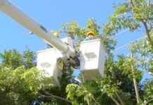 Instan a usuarios mantengan sus redes eléctricas despejadas de arboles