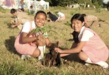 Invitan a la población a mejorar el ambiente sembrando más arbolitos