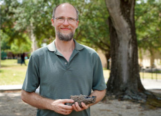Descubren cerca de un árbol impactado por un rayo un material nunca visto en la Tierra