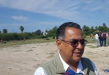 Refuerzan embellecimiento de áreas verdes en sectores populares
