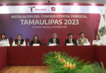 Instala el gobernador Consejo Estatal Forestal en Tamaulipas