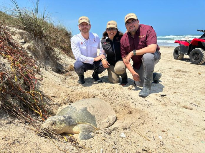 WhatsApp Image 2023-04-19 at 12.15.22