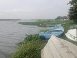 Continuará programa de dezasolve en sistema lagunario