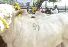 Modifican proyectos agrícolas, hasta mayo su aprobación