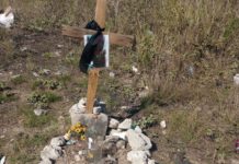 Causa espectación entre vecinos tumba en fraccionamiento