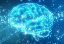 Qué es la misteriosa “zona incierta” del cerebro (y qué pistas ofrece un nueva investigación sobre ella)