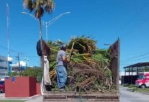 Realizan trabajos de limpieza en las áreas verdes que resultaron afectadas tras la tormenta eléctrica