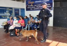 Ciudadanía respalda vigilancia de la Guardia Estatal en Central de Autobuses