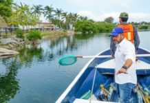Limpieza en Laguna del Carpintero y Canal de la Cortadura son Permanentes: Pepe Schekaibán