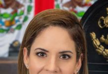 Incluir a candidatos políticos como deudores alimentarios