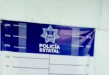 Arrestan a sujeto por alterar el orden y molestar a las personas