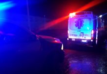 Atropellan a persona en tétrica y oscura carretera