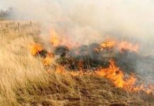 Bomberos alertan por incendios en pastizales y predios baldíos