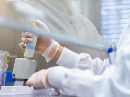 La IA ayuda a crear un nuevo antibiótico capaz de matar una superbacteria mortal