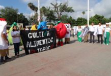 Promueve salud un estado libre de adicciones Cultivemos Alimento, no Tabaco