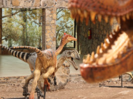 Vienen dinosaurios a Reynosa