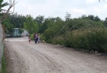 Rehabilitan accesos a colonia populares de la Villa de Nuevo Progreso