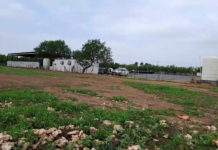 Reportan a persona sin vida en interior de pensión de tráiler