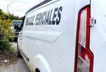 Reportan a persona sin vida en una vivienda en la Pedro J. Méndez