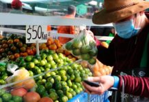 Carestía cada vez vacía más la canasta básica
