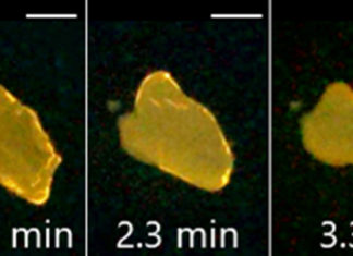 Este extraño cristal se derrite y cambia de color cuando se expone a la luz