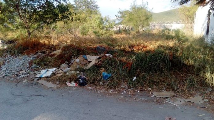 terrenos abandonados