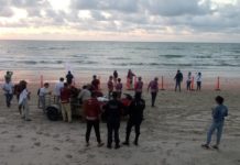 Guardia Estatal colabora en preservación de la tortuga lora