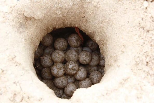 352519306_244068351598665_7405850987317903716_n