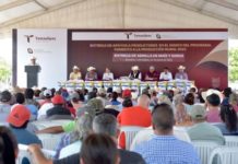 Continúa Gobierno del Estado beneficiando a productores con semilla de sorgo y maíz