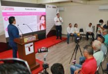 Victoria se proyecta como una de las ciudades de interés para la IP