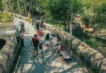 Disfruta en el Zoológico Tamatán del “CurZoo 2023”, un verano inolvidable