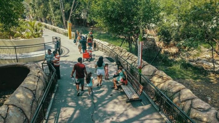 356627743_675802964561863_1792517898665838428_n