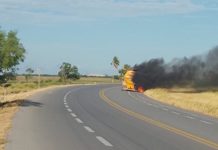 Se quema tractocamión cargado de diésel sobre carretera a Matamoros-San Fernando