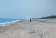 Detectan derrame de hidrocarburo en playa Tesoro
