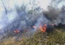 Bomberos atienden llamados de incendios en predios baldíos