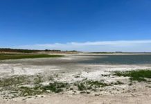 “Calor no pone en riesgo almacenamiento de agua en presas internacionales”: CILA.