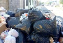 Conminan a promover la reforestación de áreas verdes y no tirar basura
