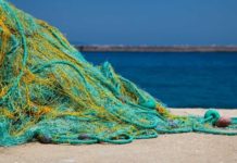 Sigue pesca furtiva en playas del sur