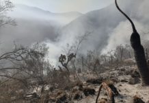 Atiende Protección Civil Tamaulipas dos incendios forestales en Jaumave
