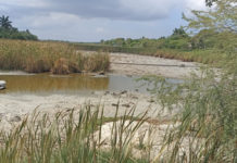 Descendiende nivel de lagunas en el sur
