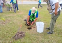 Importante sembrar un arbolito para mejorar el medio ambiente